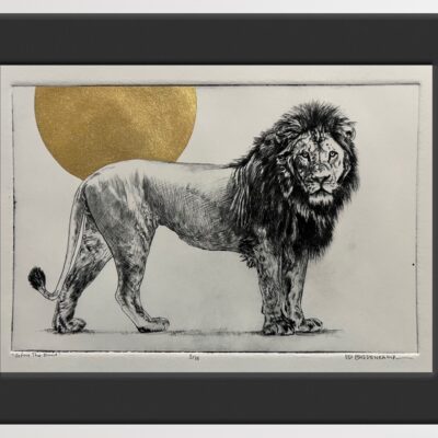 (et) LION - BEFORE THE HUNT - An original framed etching