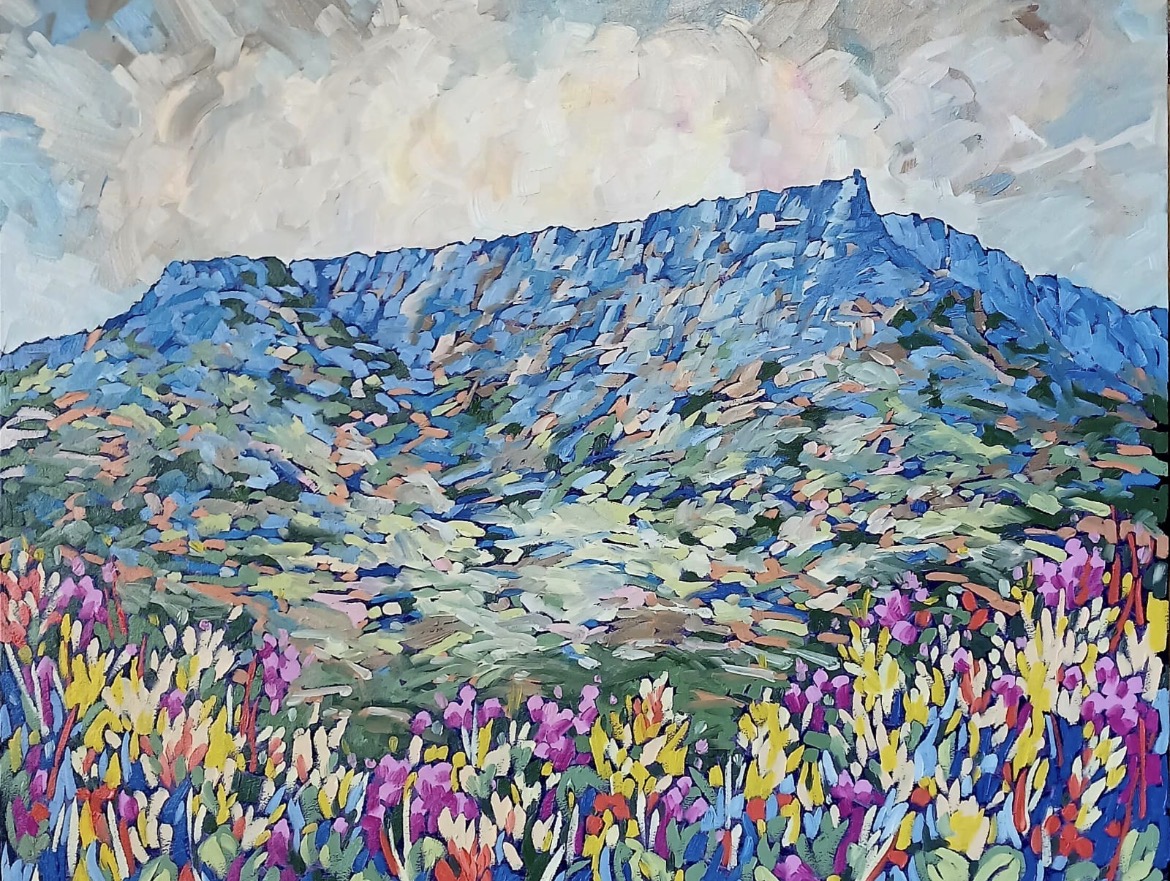 Vibrant Fynbos on Table Mountain