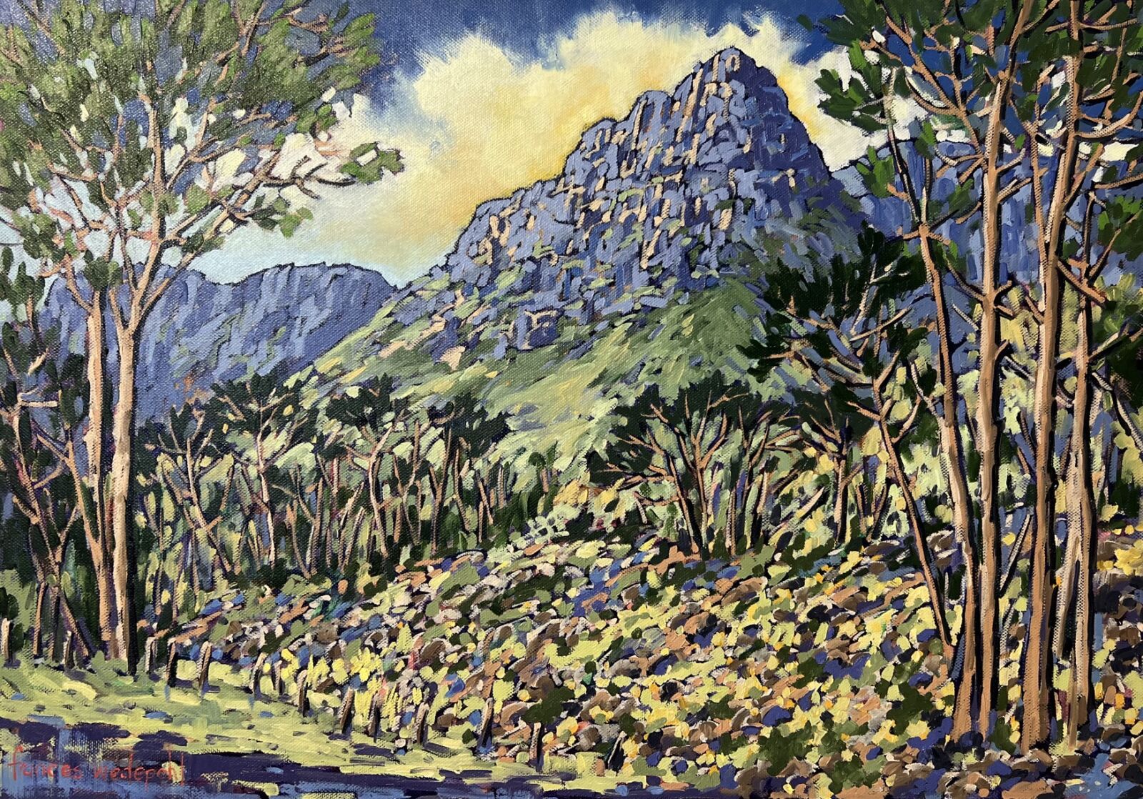 Rain over Devil’s Peak