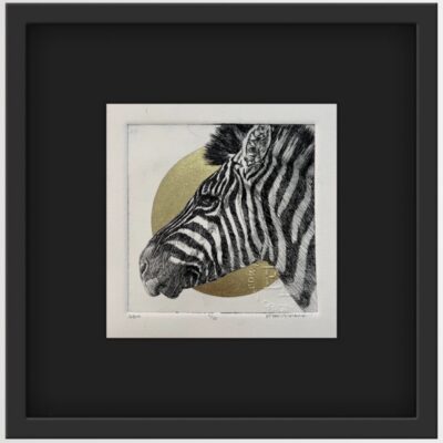 (et) ZEBRA PORTRAIT II - A Framed Original Etching